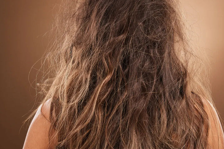 Hair Damage & Frizz Assessment